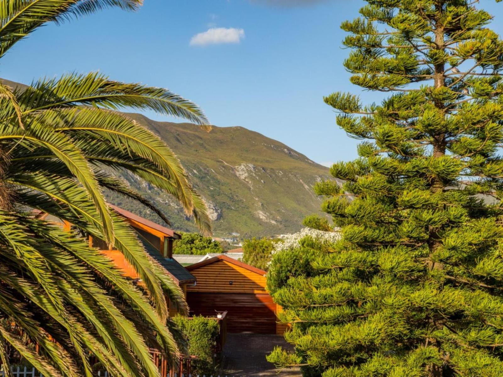 Two Palm House - Vermont Hermanus Ruang foto