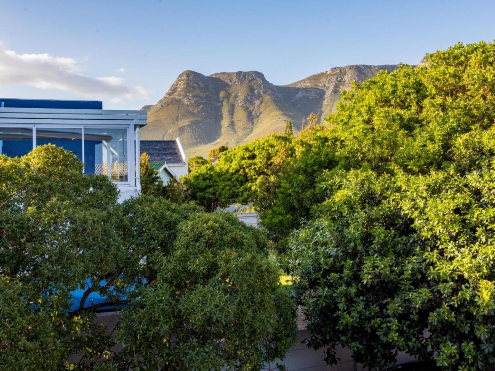 Two Palm House - Vermont Hermanus Ruang foto