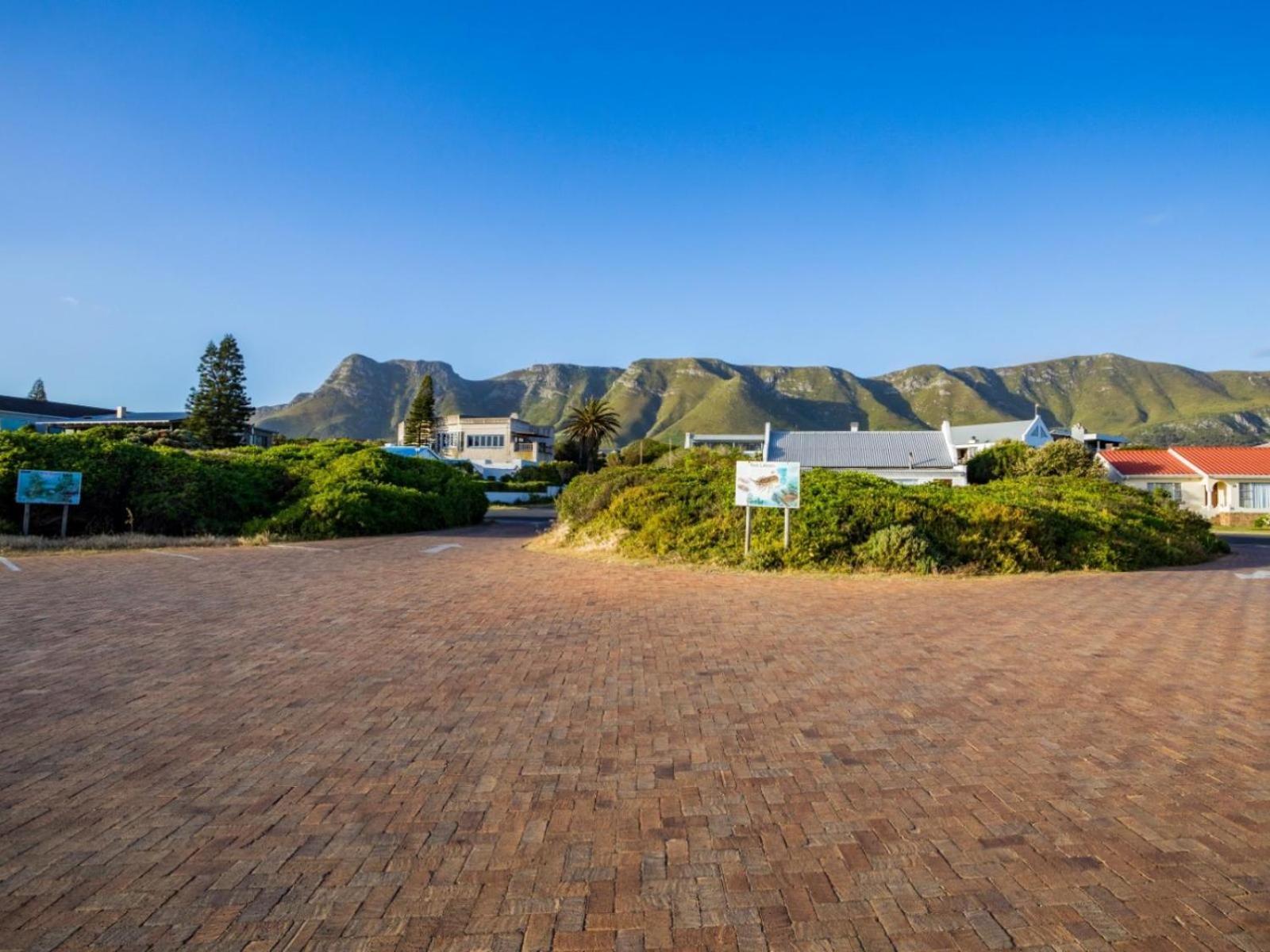 Two Palm House - Vermont Hermanus Bagian luar foto